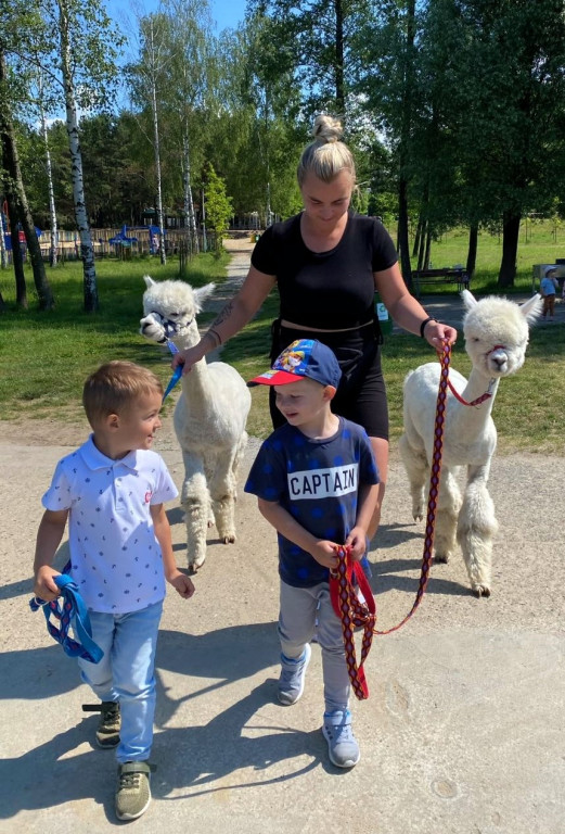Piknik Przedszkolaków i spotkanie z alpakami