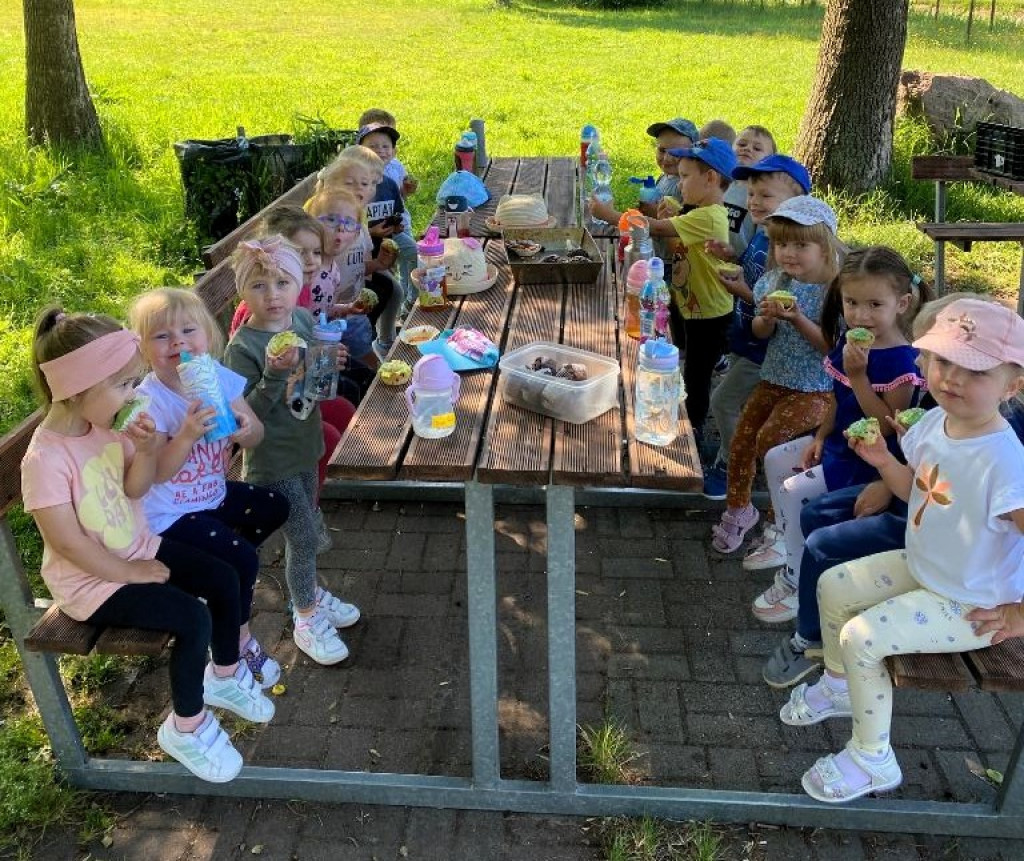 Piknik Przedszkolaków i spotkanie z alpakami