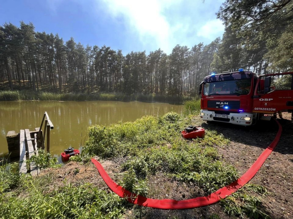 Pożar zboża i zrębu lasu