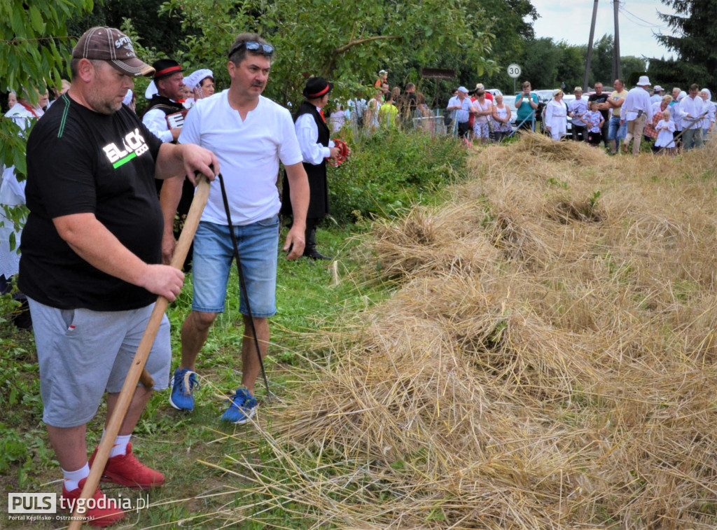 W Palatach żniwa, ale jak to dawniej bywało