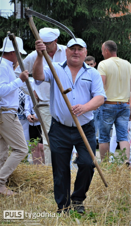 W Palatach żniwa, ale jak to dawniej bywało