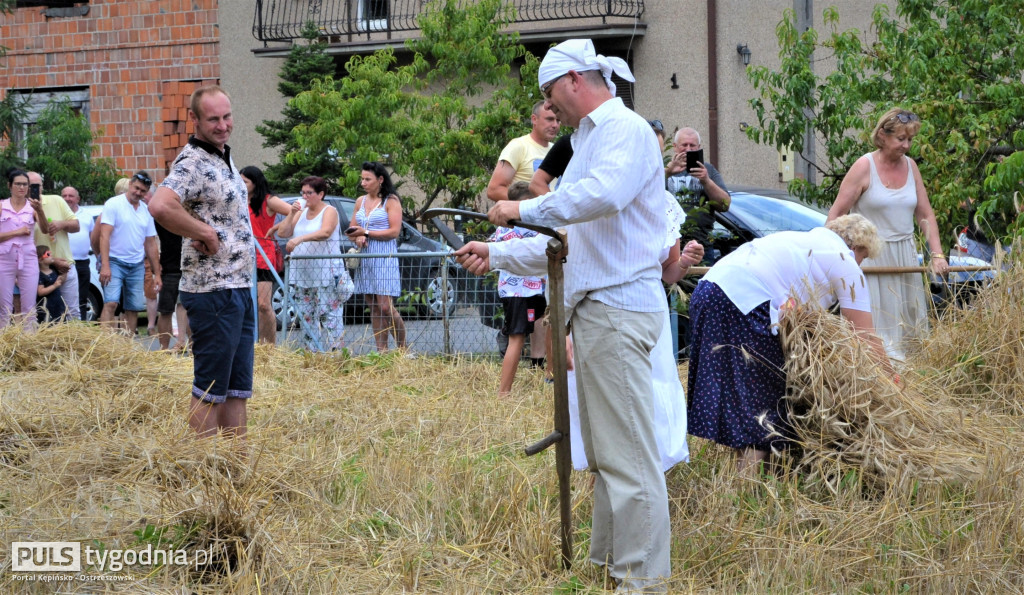 W Palatach żniwa, ale jak to dawniej bywało