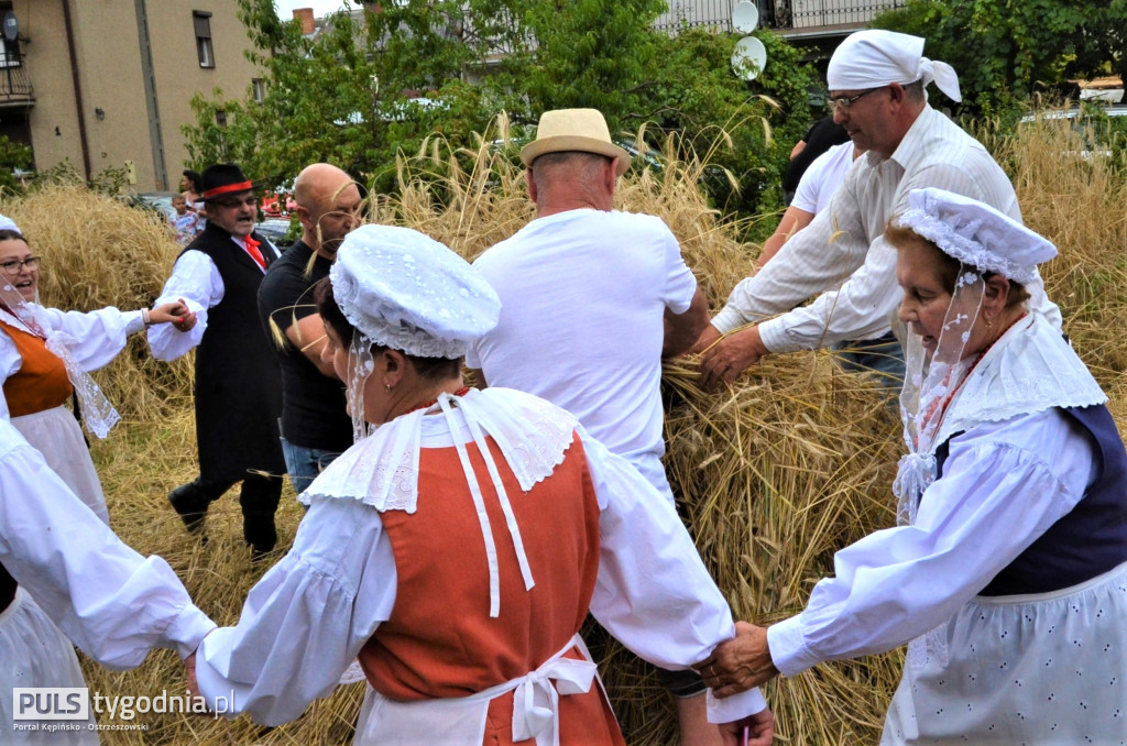 W Palatach żniwa, ale jak to dawniej bywało