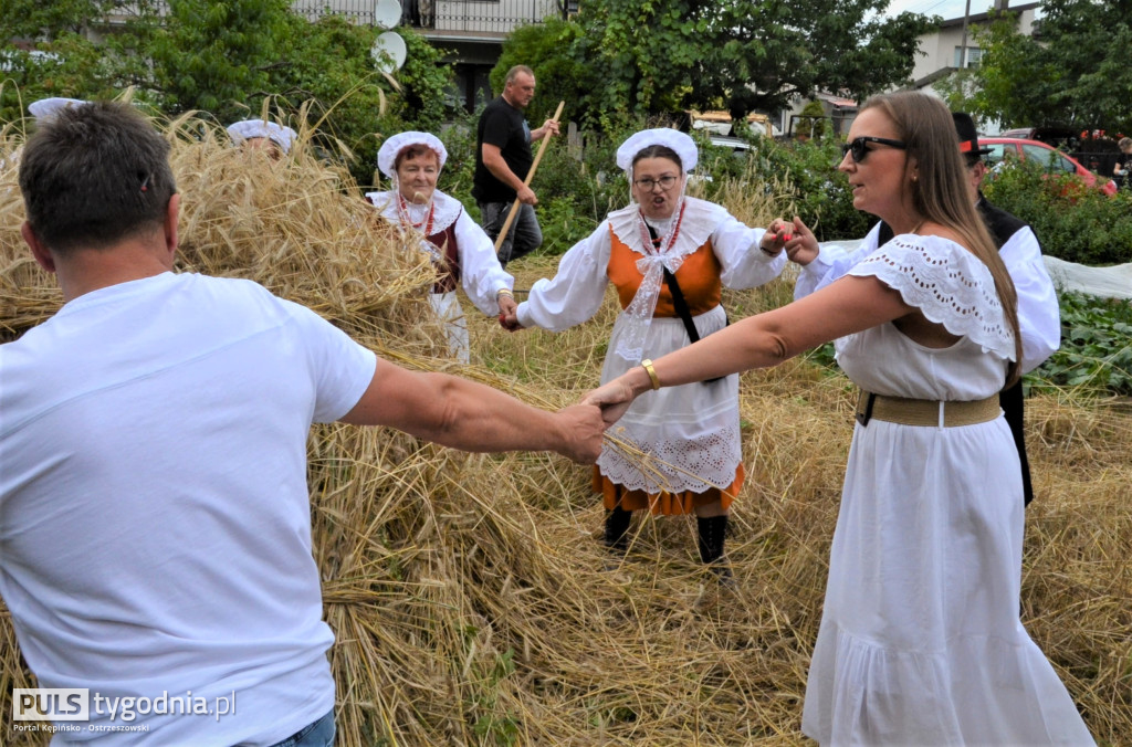 W Palatach żniwa, ale jak to dawniej bywało