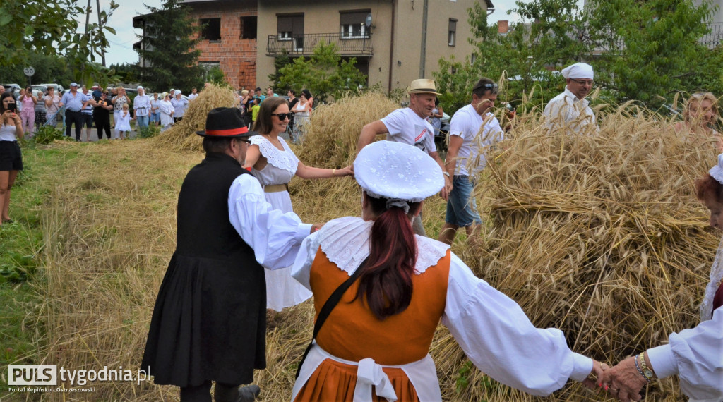 W Palatach żniwa, ale jak to dawniej bywało