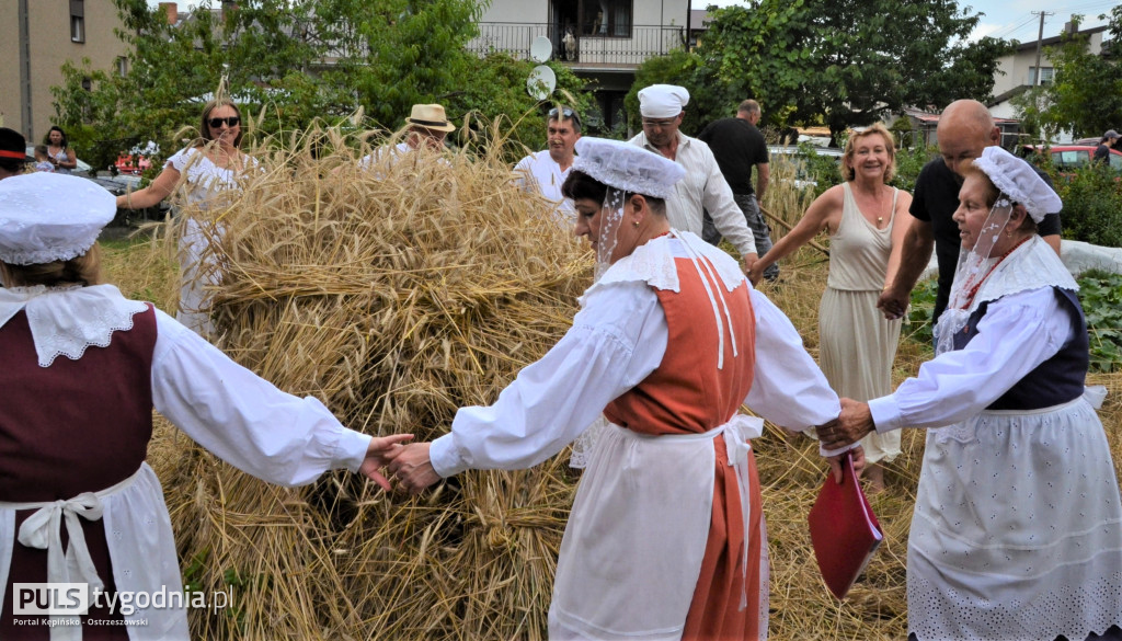 W Palatach żniwa, ale jak to dawniej bywało