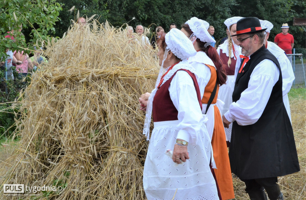 W Palatach żniwa, ale jak to dawniej bywało