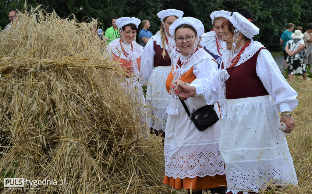 W Palatach żniwa, ale jak to dawniej bywało