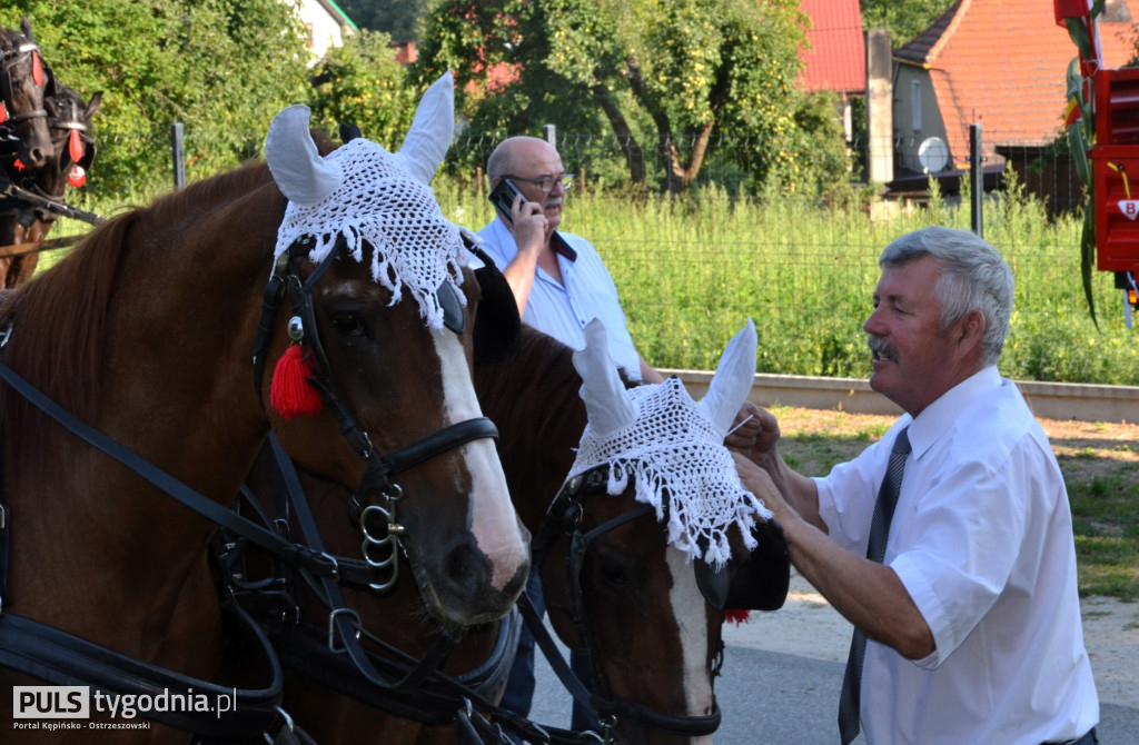 Święcenie zwierząt w Mikstacie