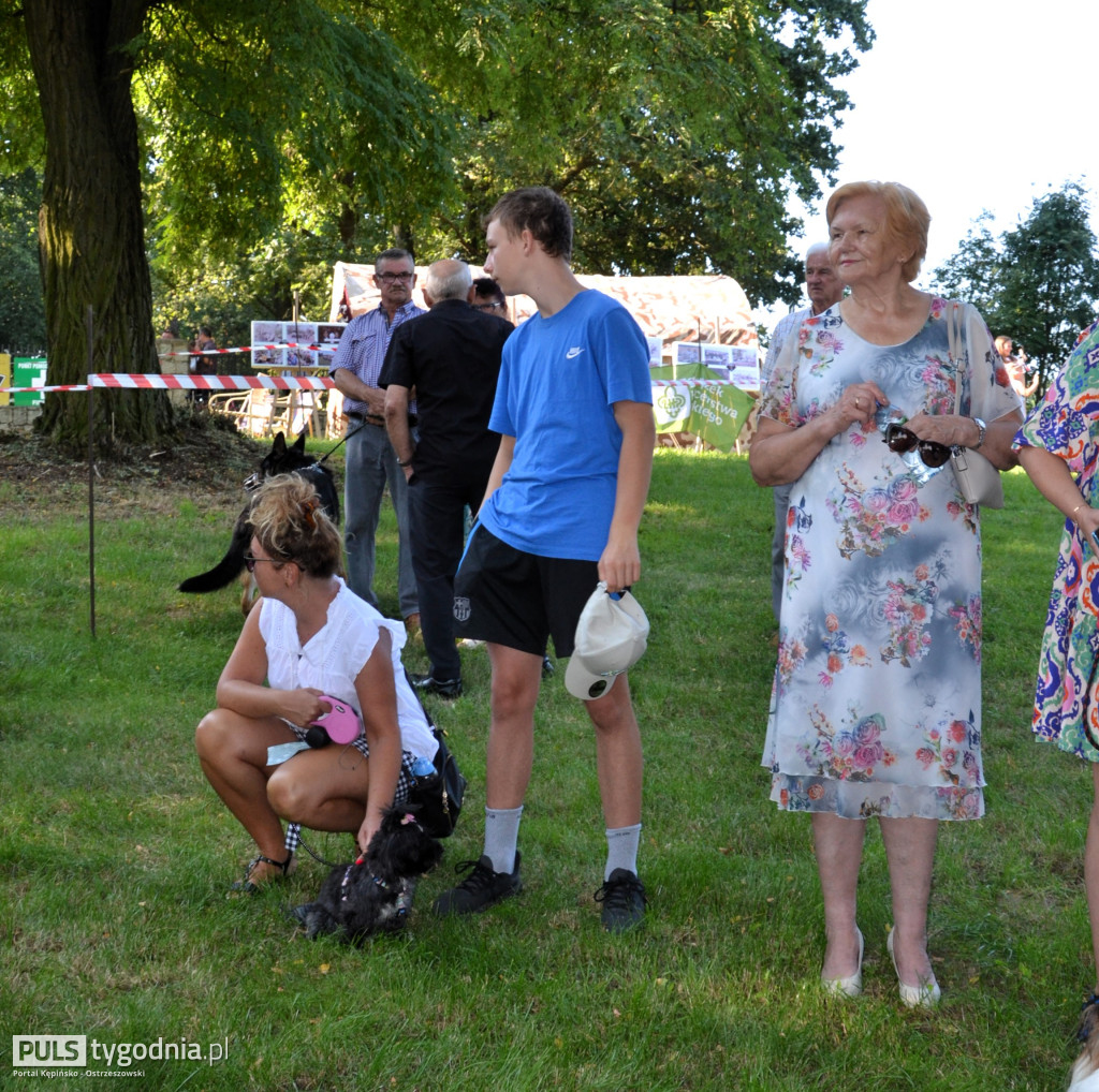 Święcenie zwierząt w Mikstacie