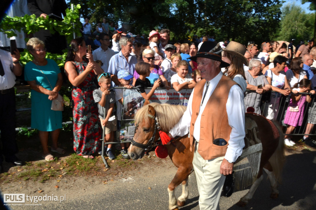 Święcenie zwierząt w Mikstacie