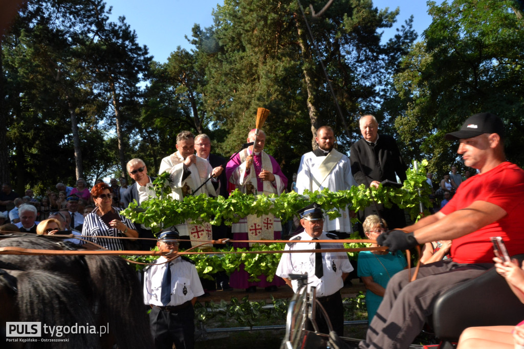 Święcenie zwierząt w Mikstacie