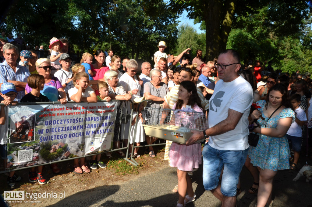 Święcenie zwierząt w Mikstacie