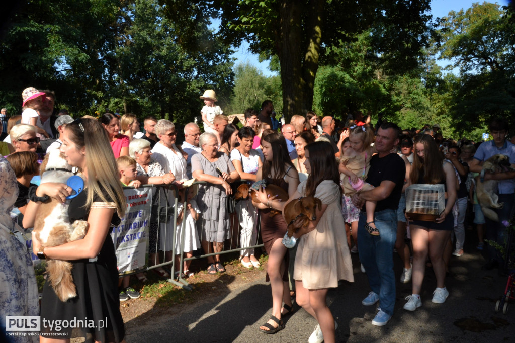 Święcenie zwierząt w Mikstacie