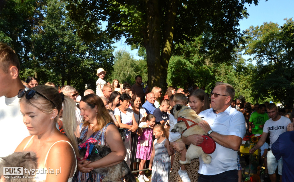 Święcenie zwierząt w Mikstacie