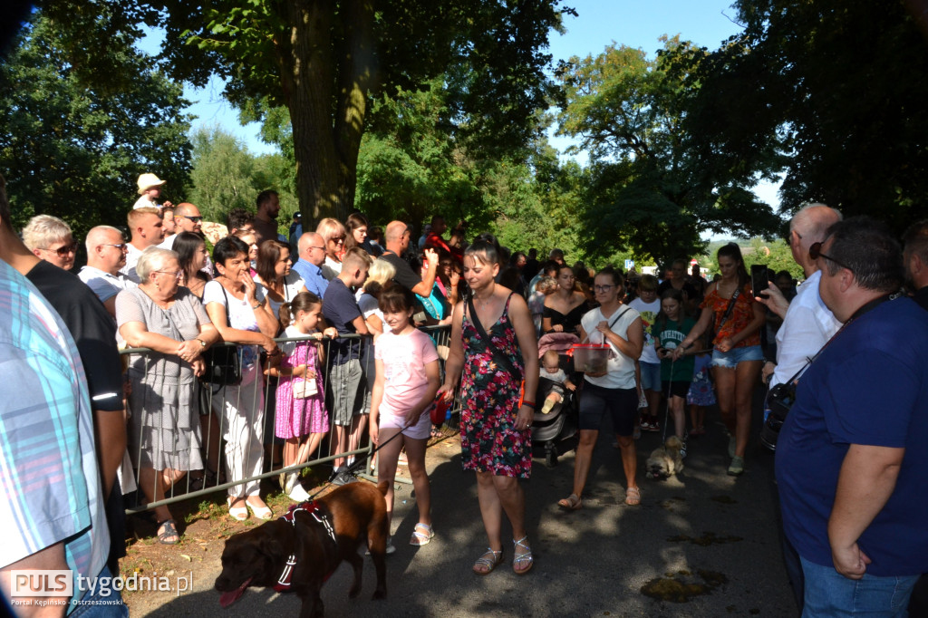 Święcenie zwierząt w Mikstacie