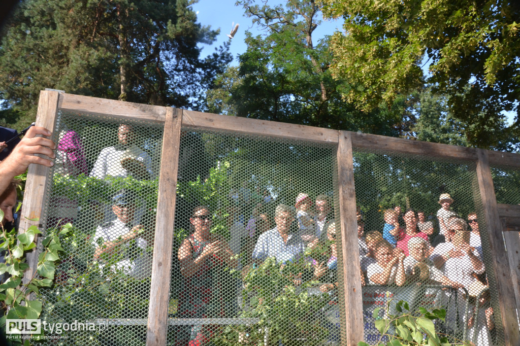 Święcenie zwierząt w Mikstacie