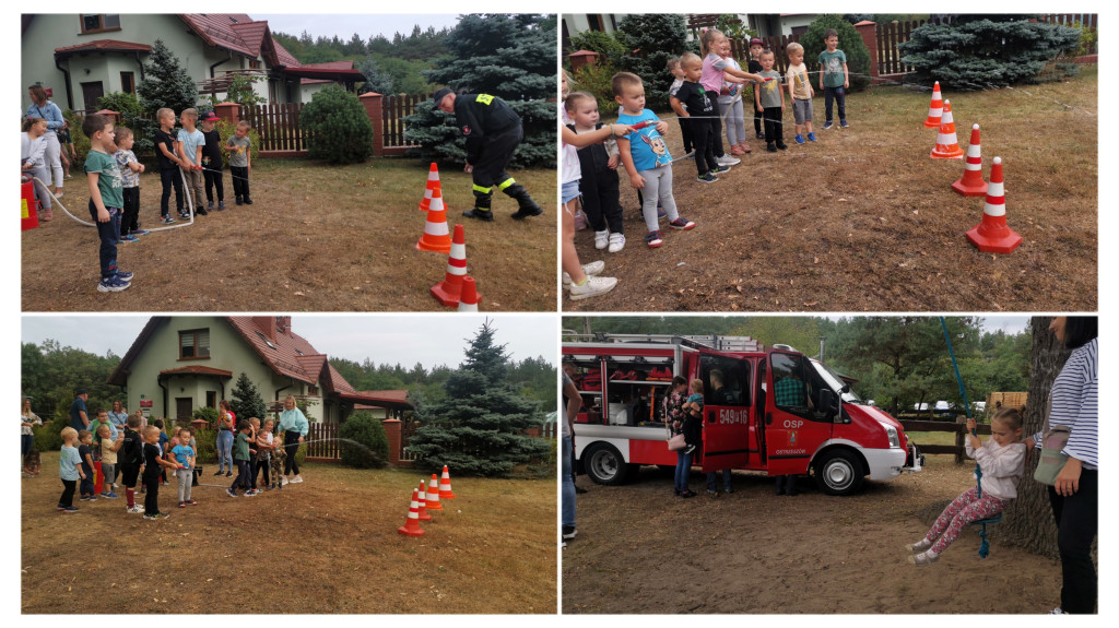 Dzień Ziemniaka w Rogaszycach
