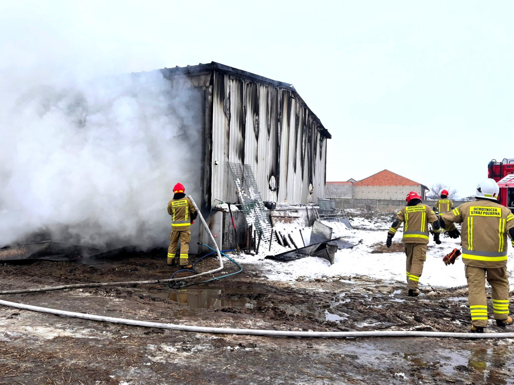 Pożar budynku inwentarskiego