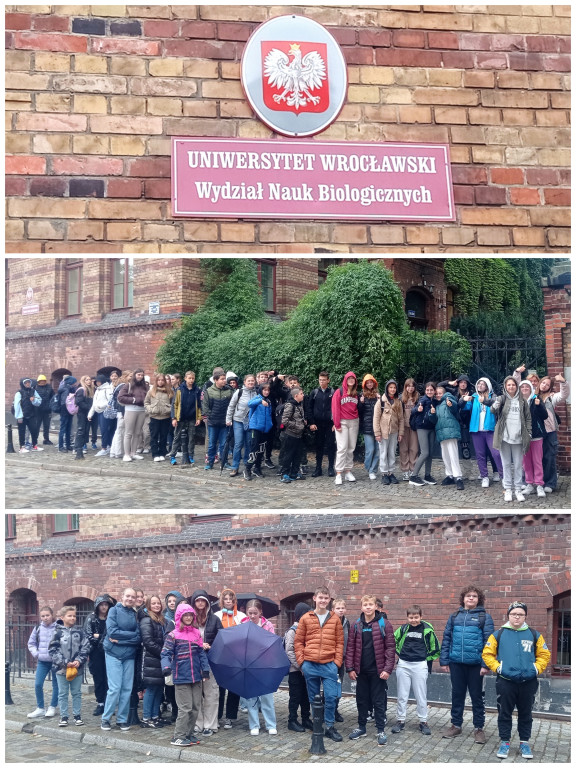 Naukowiec, który pokochał pszczoły