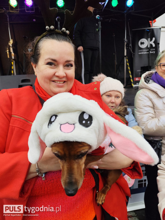 Jarmark Bożonarodzeniowy w Ostrzeszowie