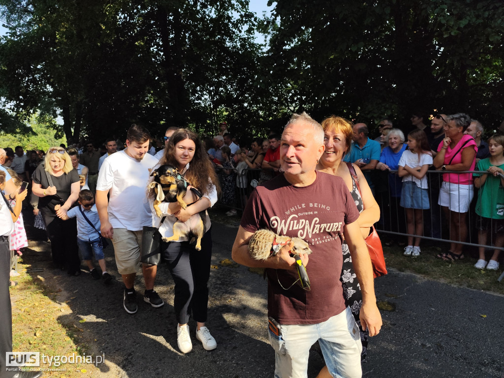 Błogosławieństwo zwierząt w Mikstacie