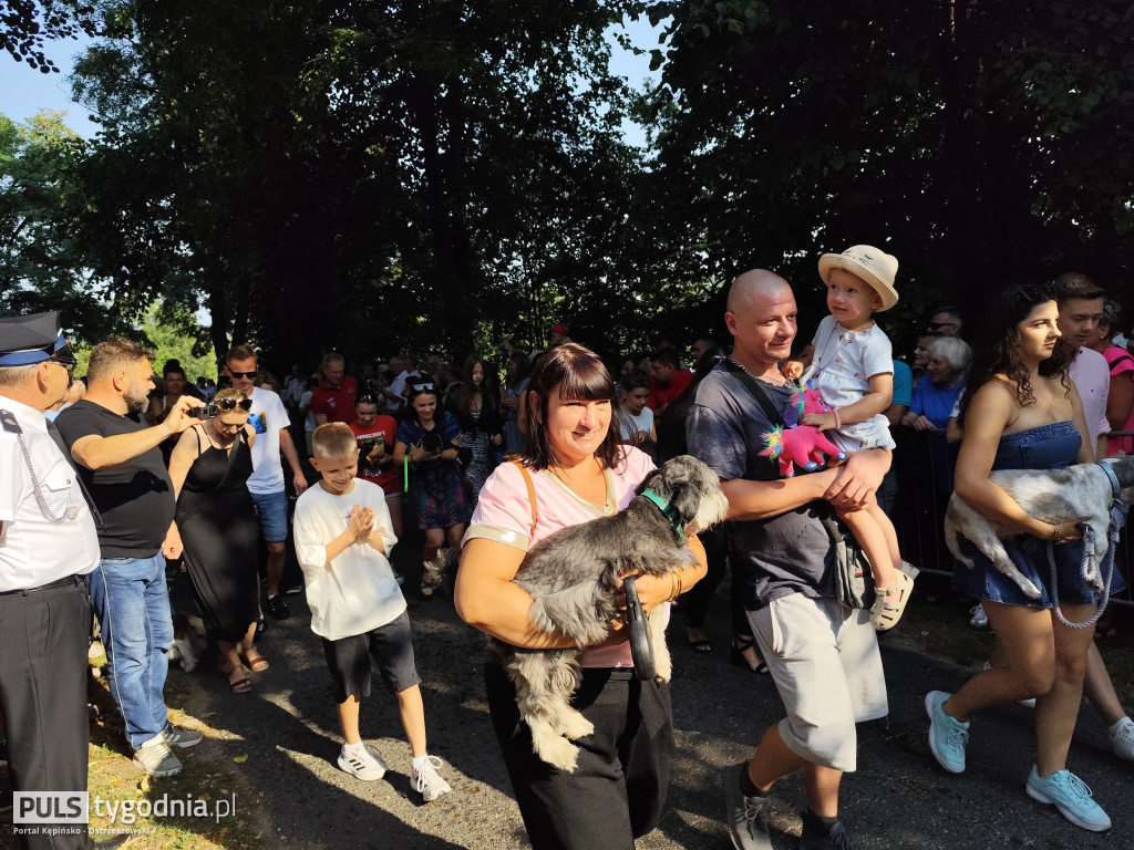 Błogosławieństwo zwierząt w Mikstacie