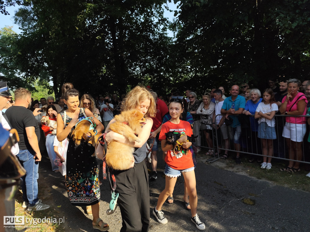Błogosławieństwo zwierząt w Mikstacie