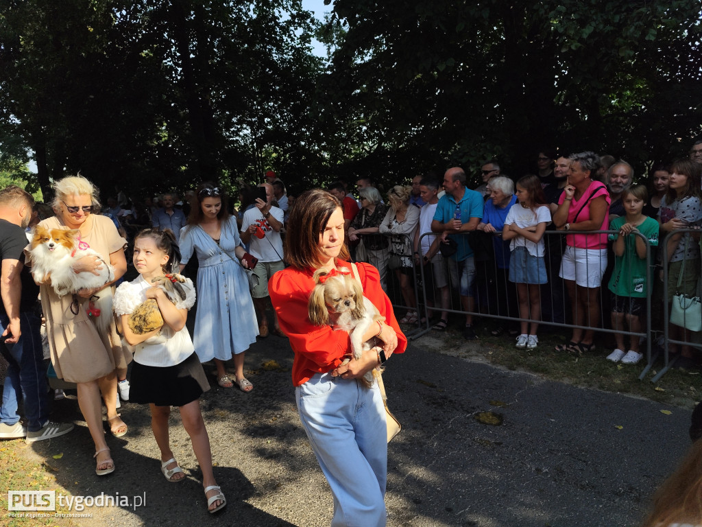 Błogosławieństwo zwierząt w Mikstacie