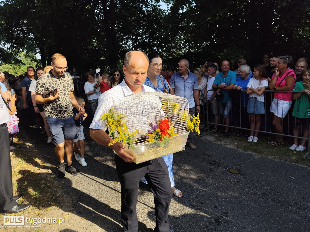Błogosławieństwo zwierząt w Mikstacie