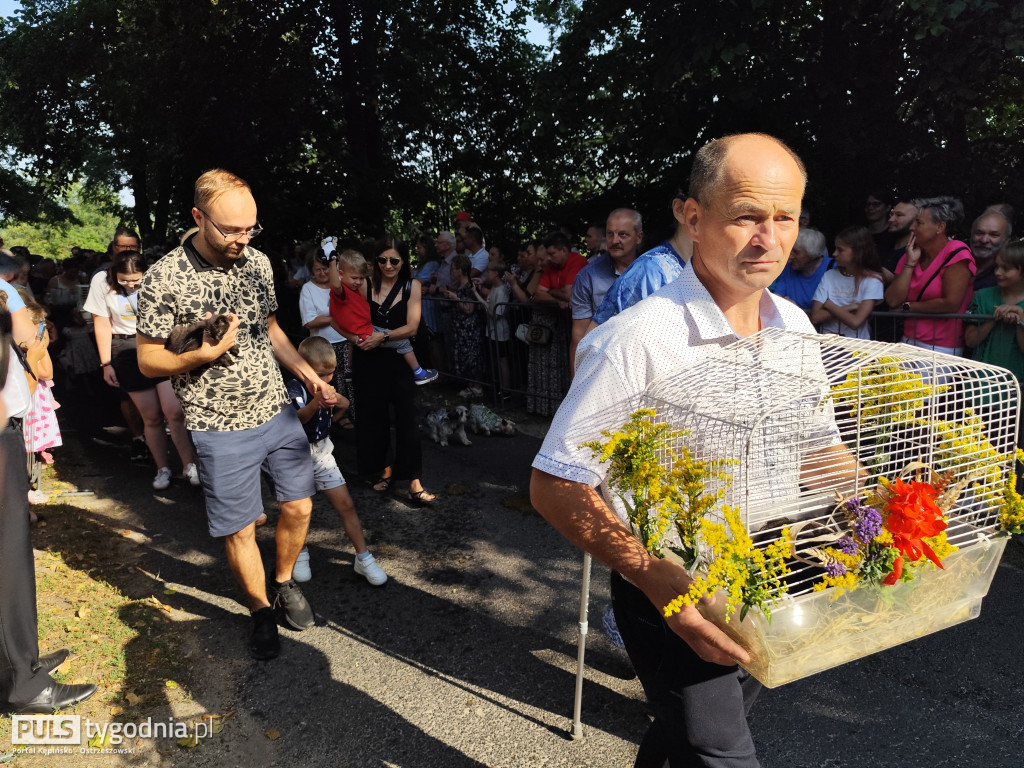 Błogosławieństwo zwierząt w Mikstacie