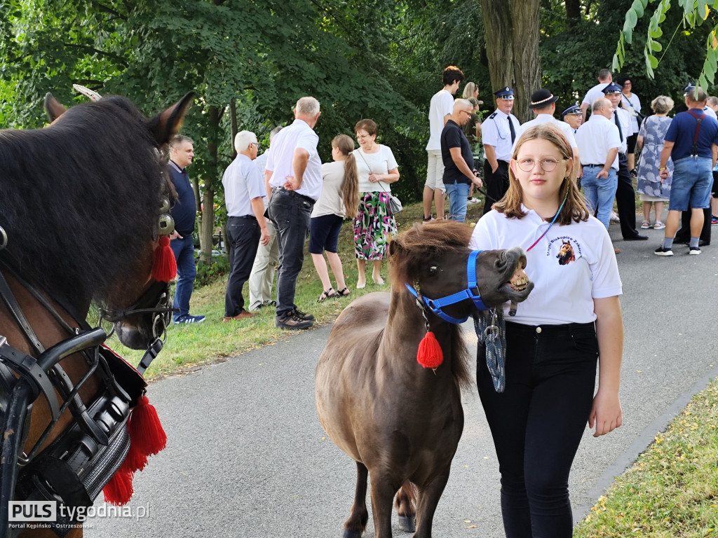 Błogosławieństwo zwierząt w Mikstacie