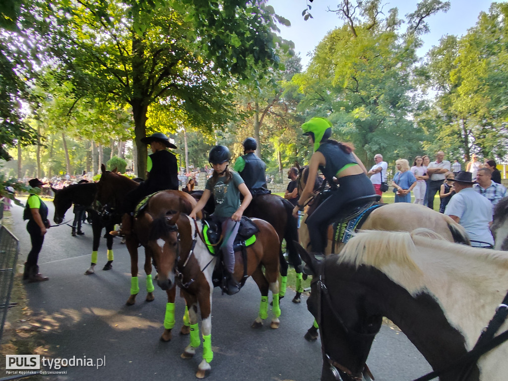 Błogosławieństwo zwierząt w Mikstacie
