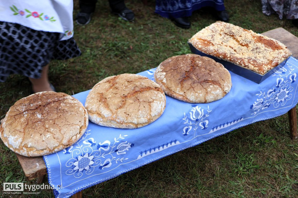 Piknik Historyczny w Głuszynie