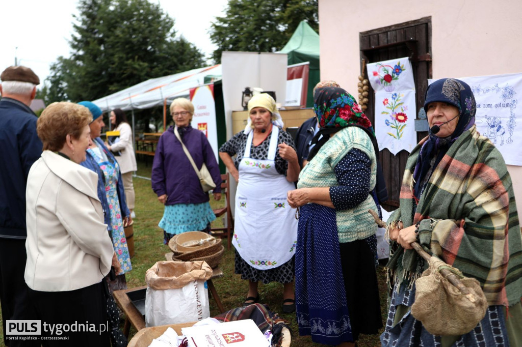 Piknik Historyczny w Głuszynie