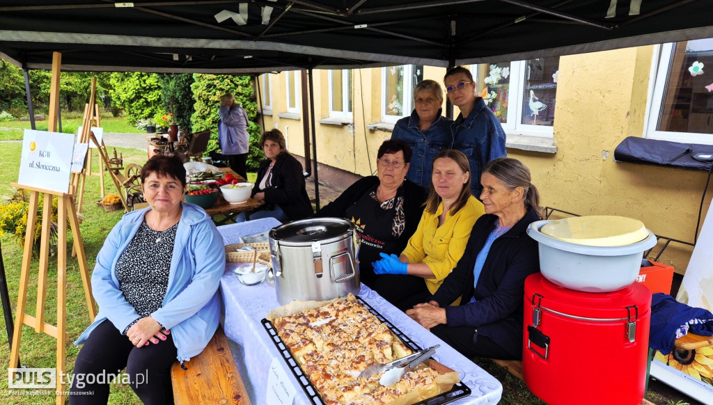 Piknik Historyczny w Głuszynie