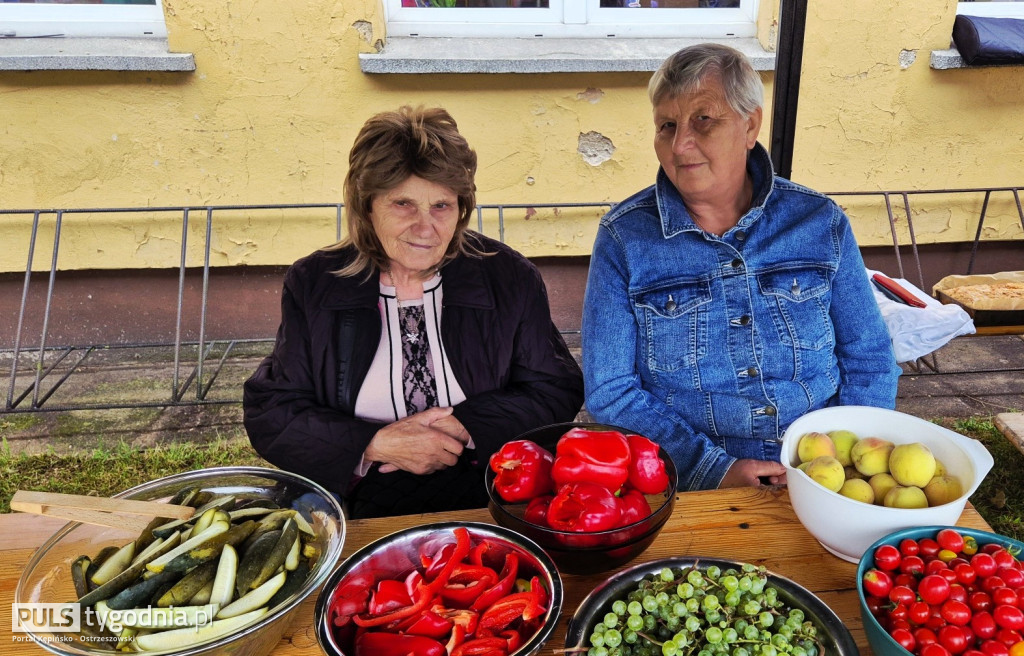 Piknik Historyczny w Głuszynie