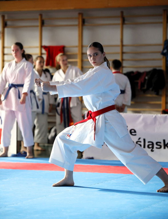 8 medali przywieźli zawodnicy KS Hitotsu