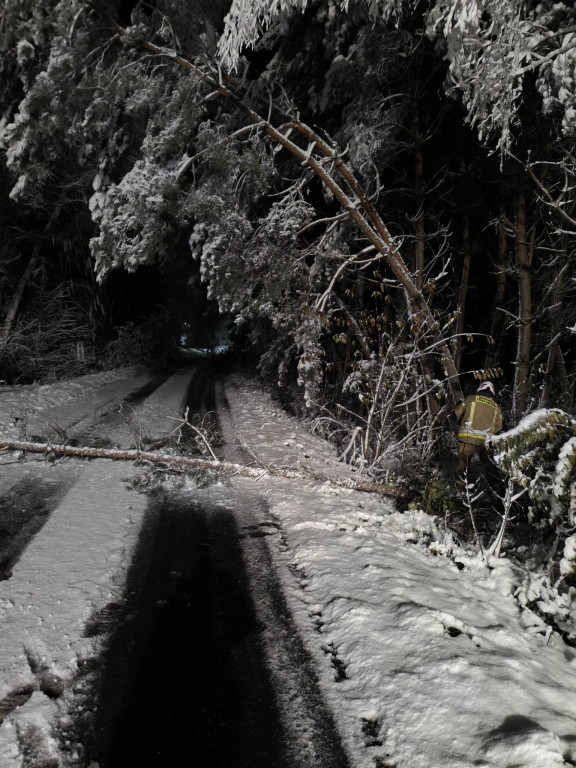 Strażacy odnotowali 95 zdarzeń
