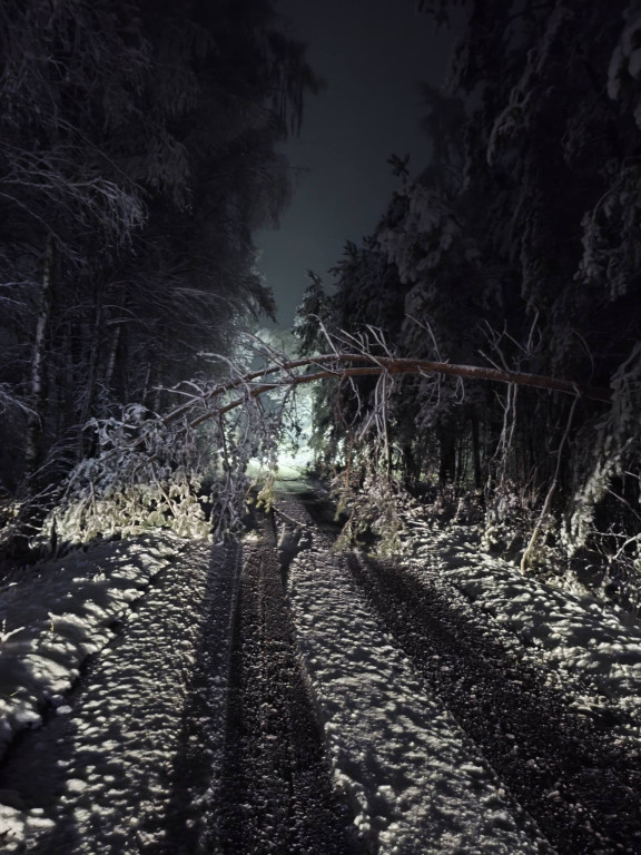 Strażacy odnotowali 95 zdarzeń
