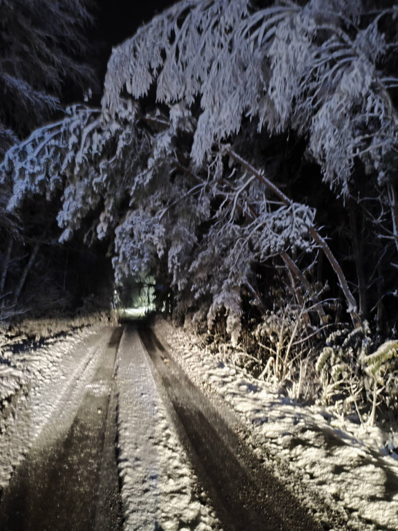 Strażacy odnotowali 95 zdarzeń