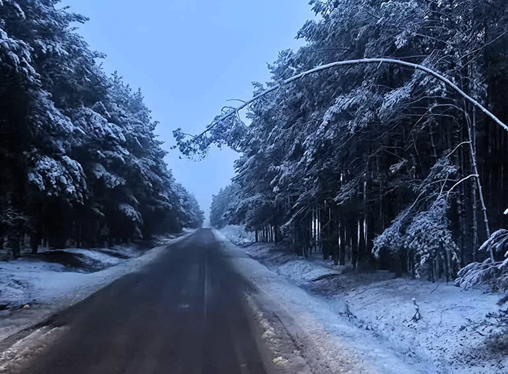 Strażacy odnotowali 95 zdarzeń