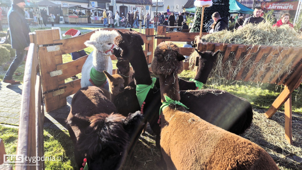 Jarmark Bożonarodzeniowy w Grabowie nad Prosną
