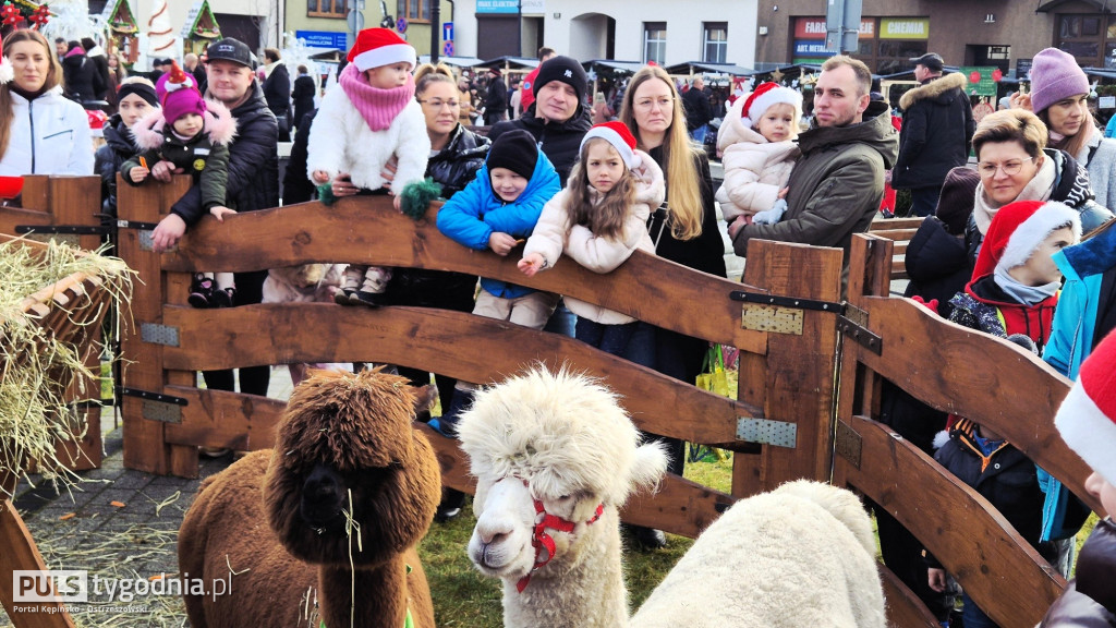 Jarmark Bożonarodzeniowy w Grabowie nad Prosną