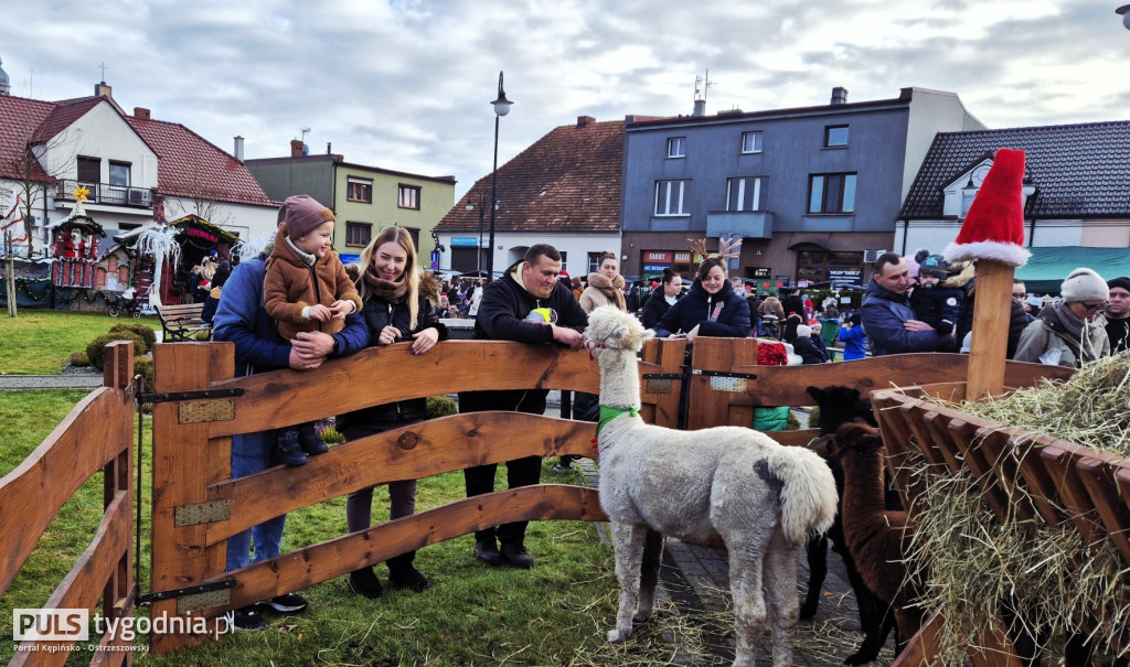 Jarmark Bożonarodzeniowy w Grabowie nad Prosną