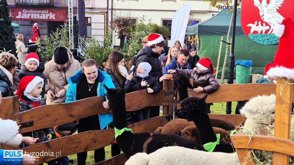 Jarmark Bożonarodzeniowy w Grabowie nad Prosną