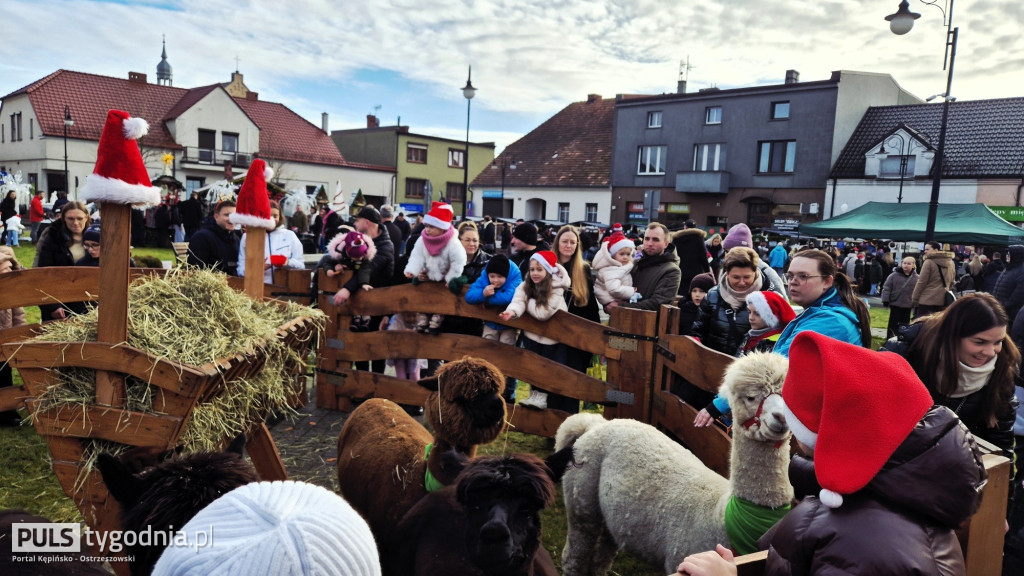 Jarmark Bożonarodzeniowy w Grabowie nad Prosną