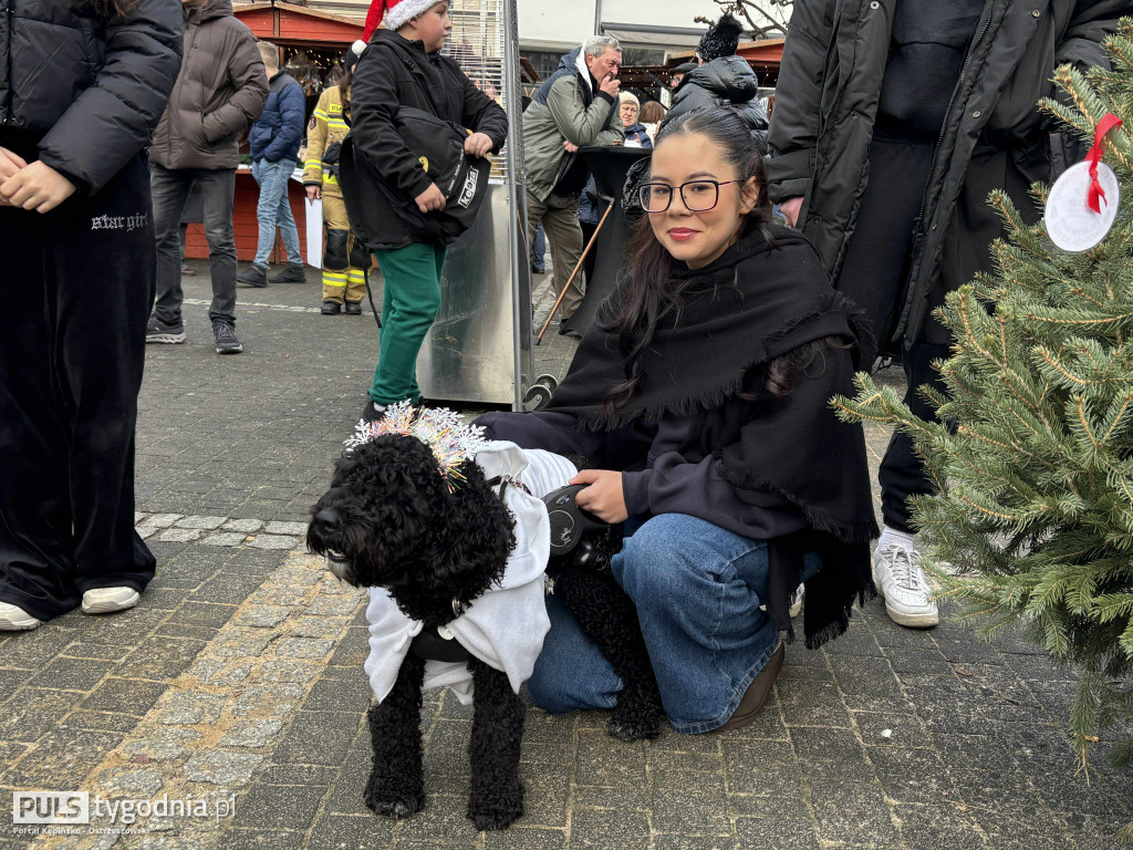 Ostrzeszowski Jarmark Bożonarodzeniowy