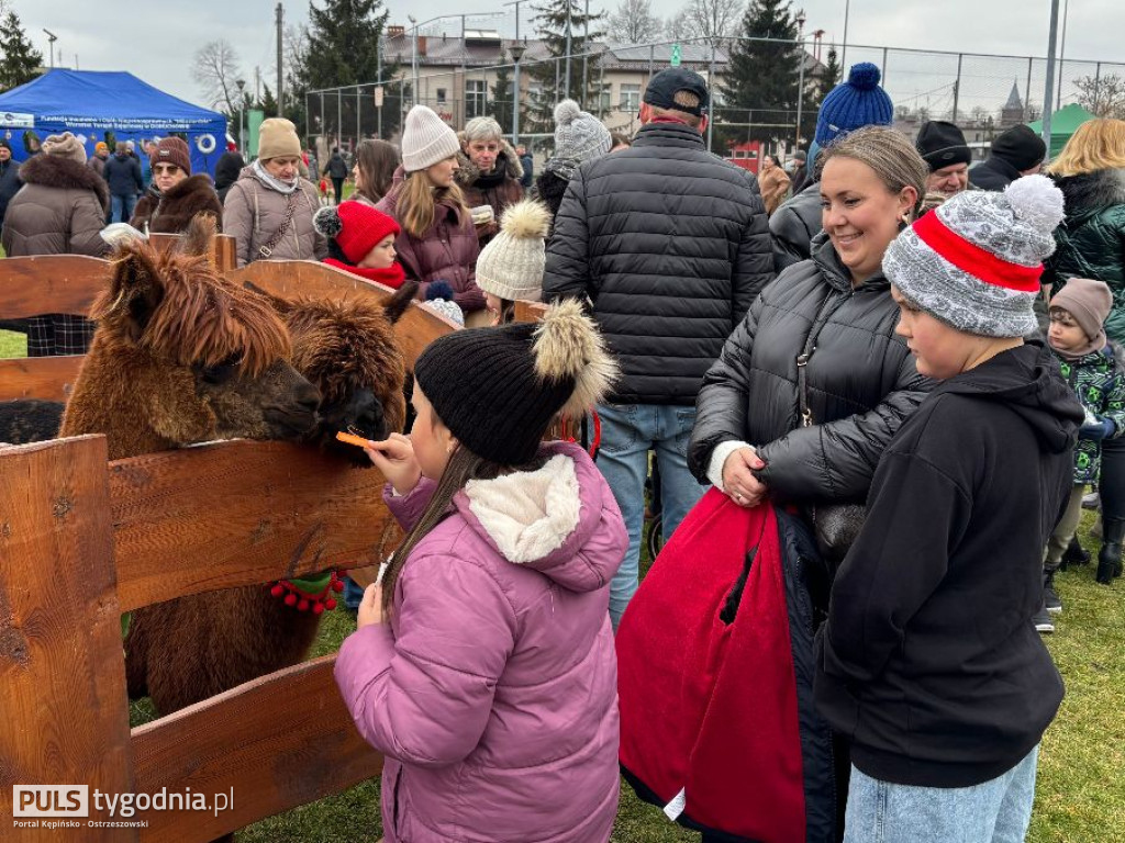 Jarmark Bożonarodzeniowy w Doruchowie