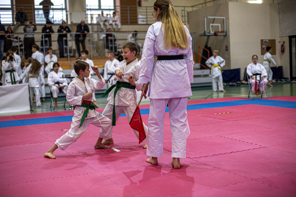 Święto karate w Grabowie nad Prosną